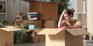 Trasloco di successo: Guida professionale ai segreti dell’efficienza logistica trasloco di successo