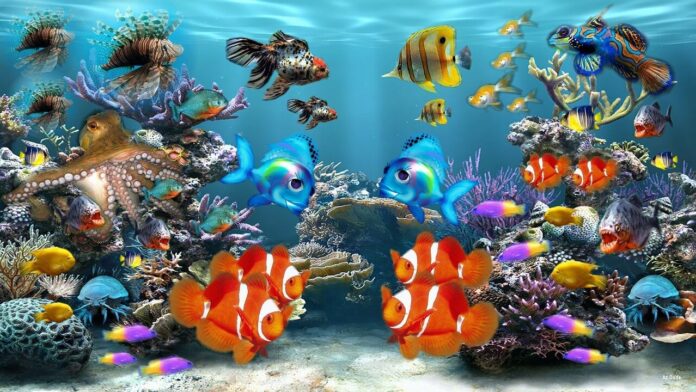 traslocare un acquario