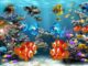 traslocare un acquario
