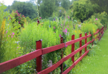 recinzioni da giardino