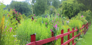 recinzioni da giardino