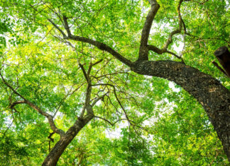 cambiamento climatico